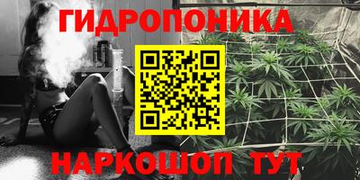 гидра Долгопрудный