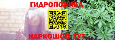 гидра Долгопрудный